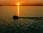 Fiskeb�t
