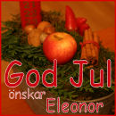 Eleonor